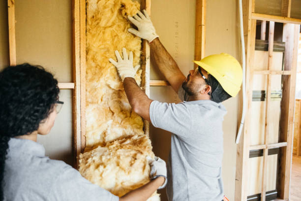 Best Attic Insulation Installation  in La Conner, WA