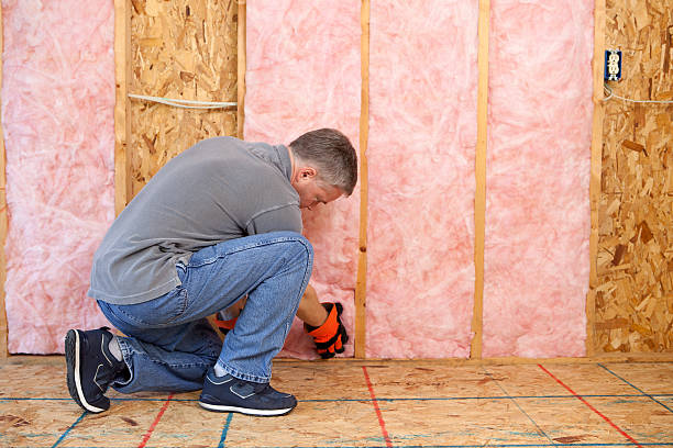Best Insulation Repair Services  in La Conner, WA