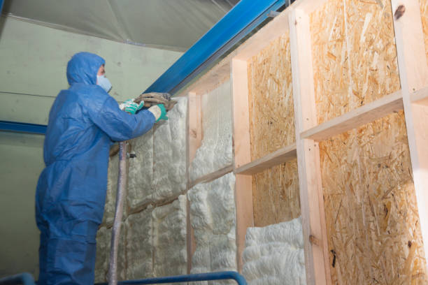 Best Insulation Inspection Services  in La Conner, WA