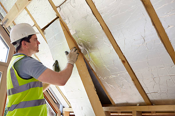 Best Best Insulation Companies  in La Conner, WA